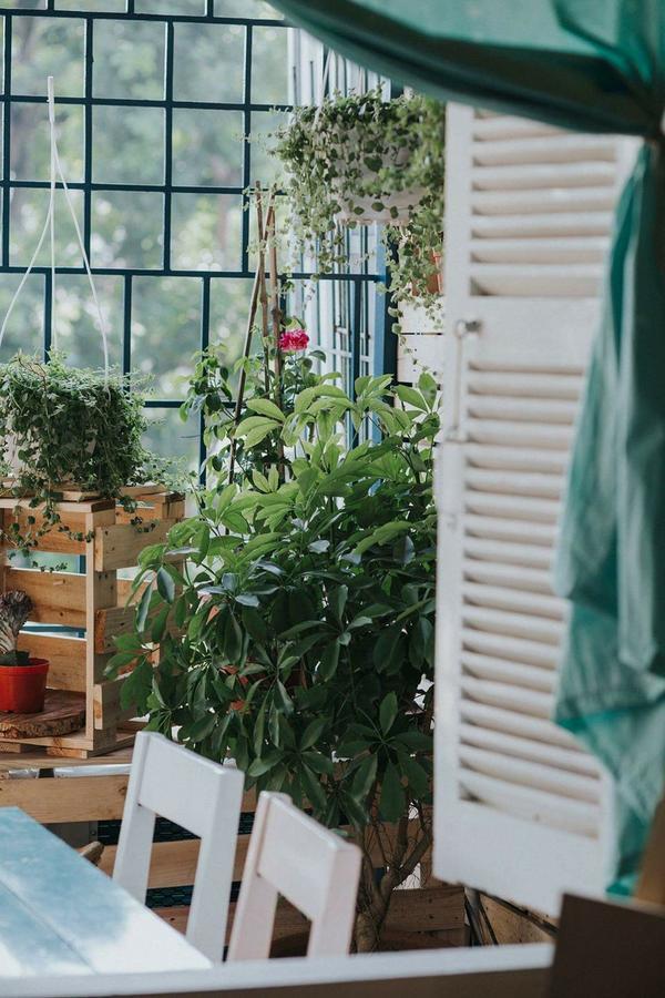 Momento Boutique House 1 Hostel Ανόι Εξωτερικό φωτογραφία